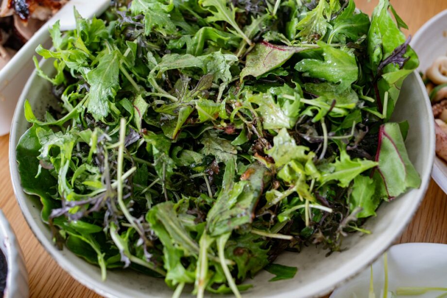 Insalata verde mista in una ciotola, immagine illustrativa di lattuga e indivia riccia