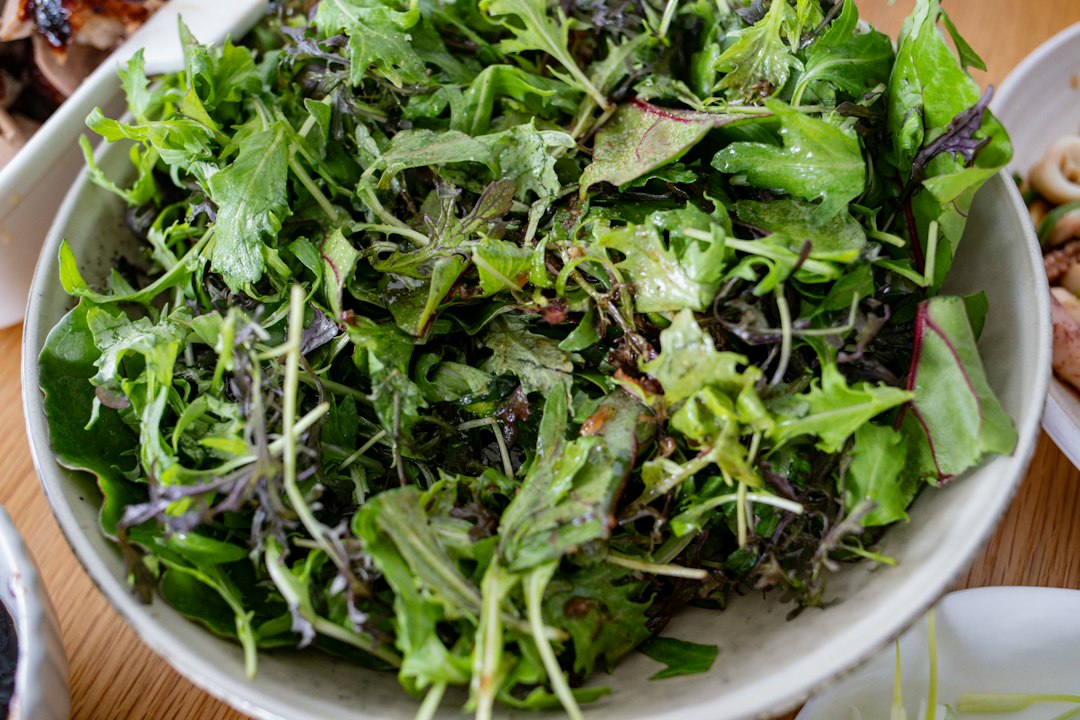 Insalata di lattuga e indivia riccia