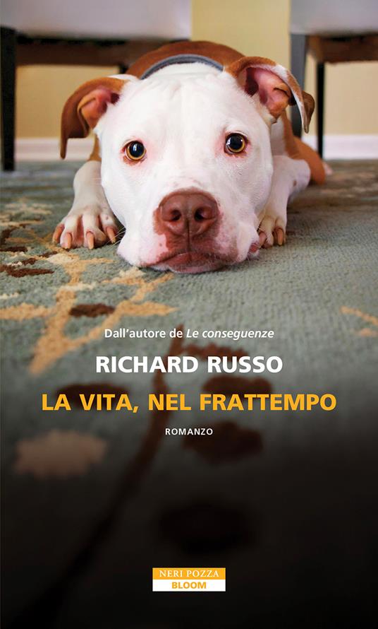 La vita, nel frattempo
