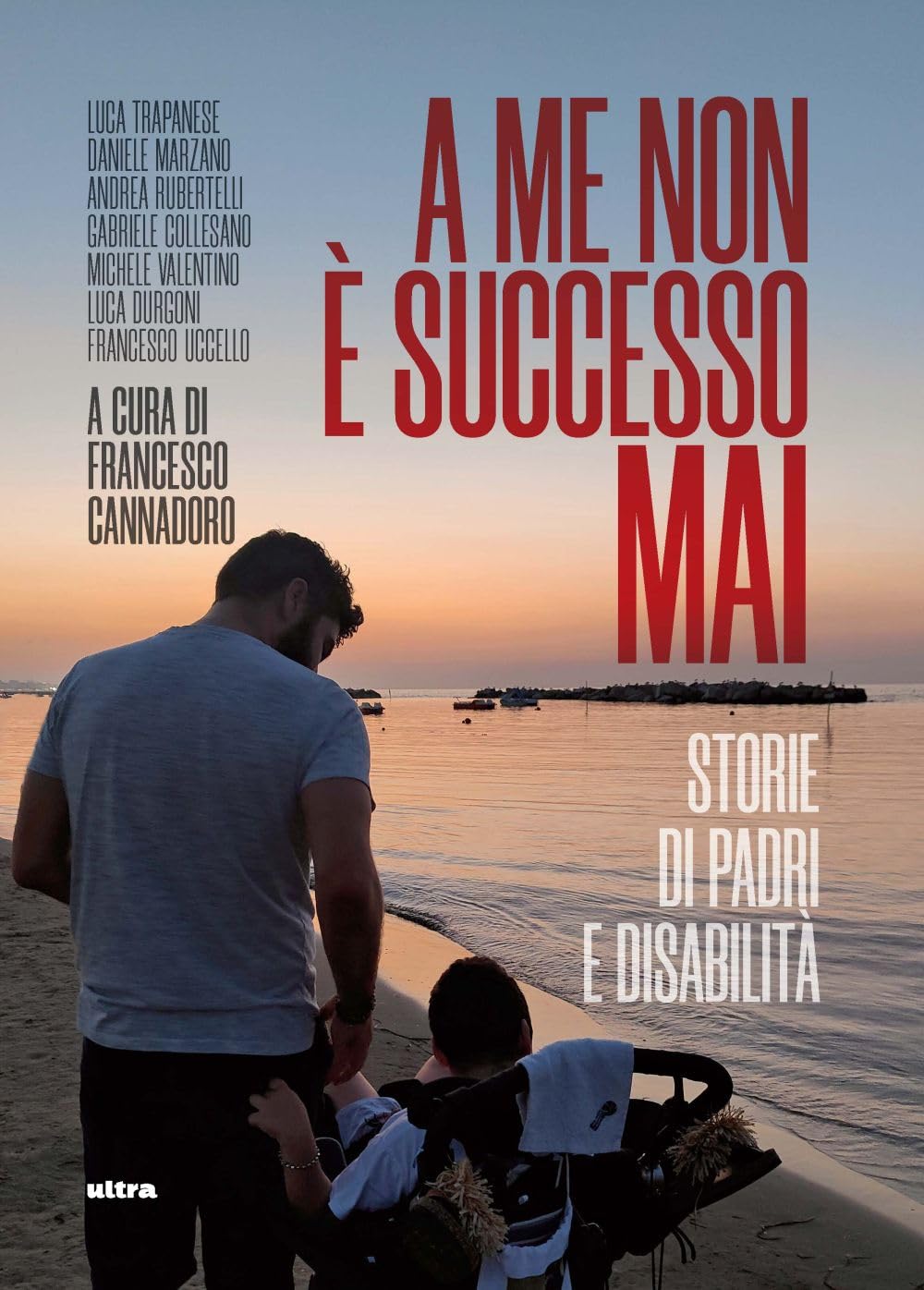 Copertina di A me non è successo mai. Storie di padri e disabilità