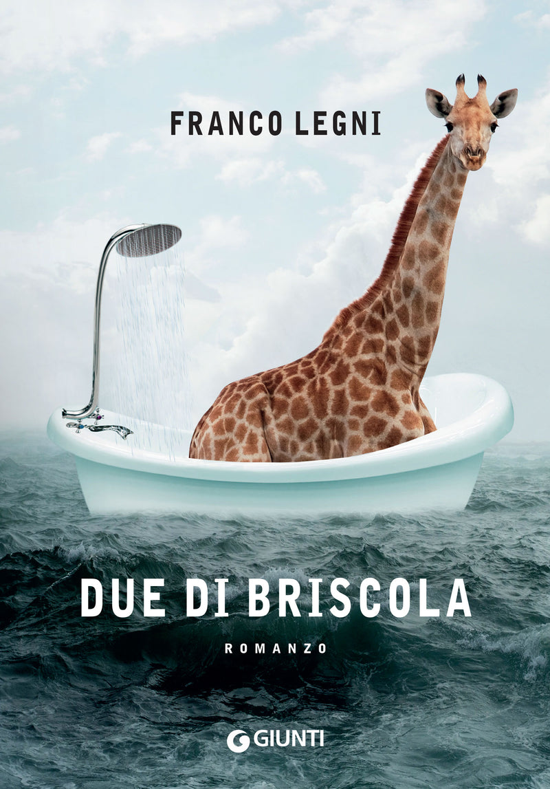Copertina di Due di briscola